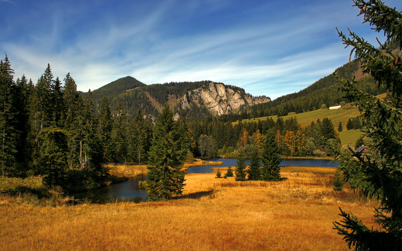 奥纳纳神扑难救主,对手无解破门终结英超争冠悬念